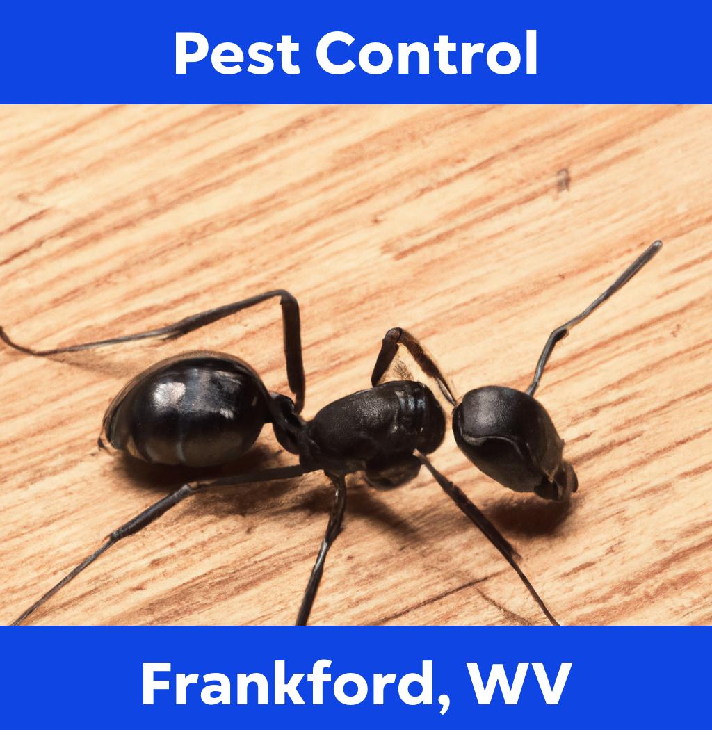pest control in Frankford West Virginia