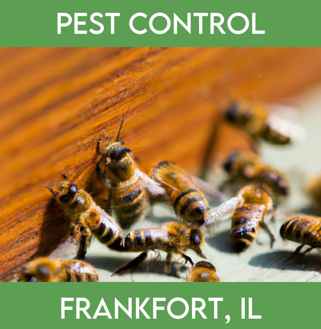 pest control in Frankfort Illinois