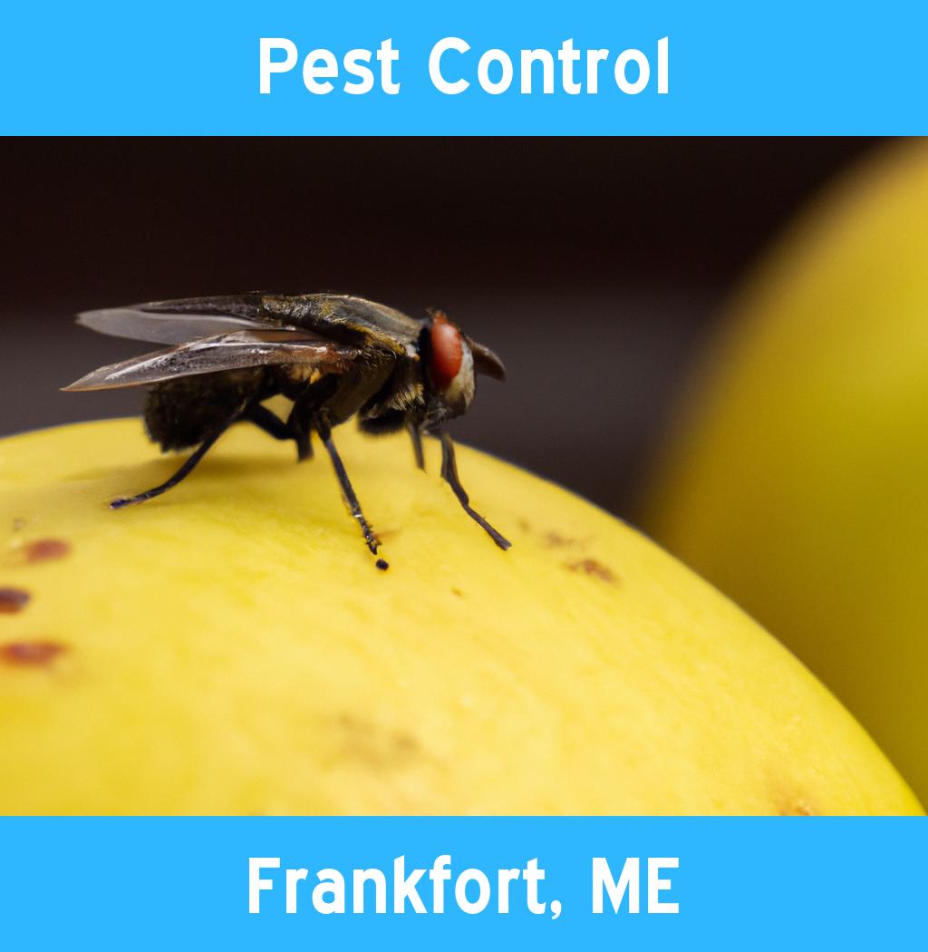 pest control in Frankfort Maine