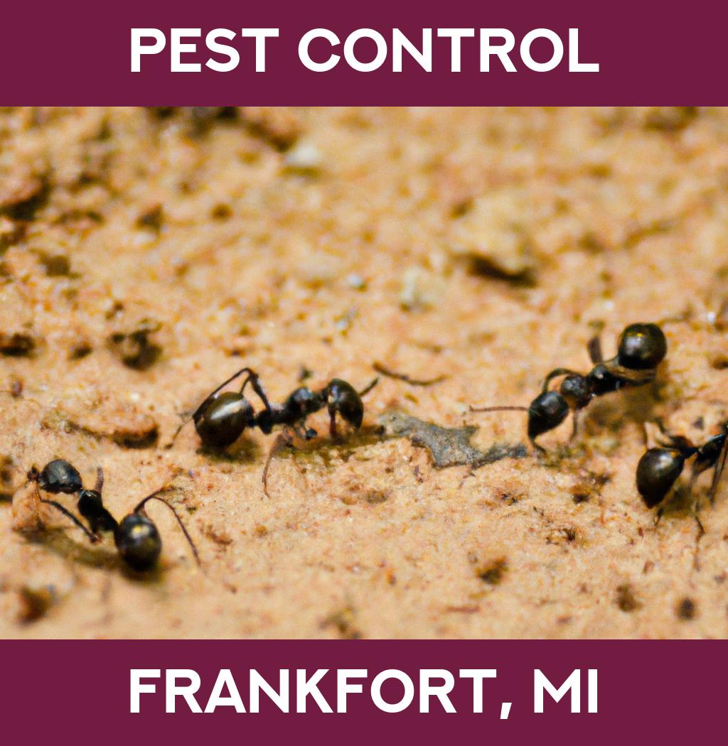 pest control in Frankfort Michigan