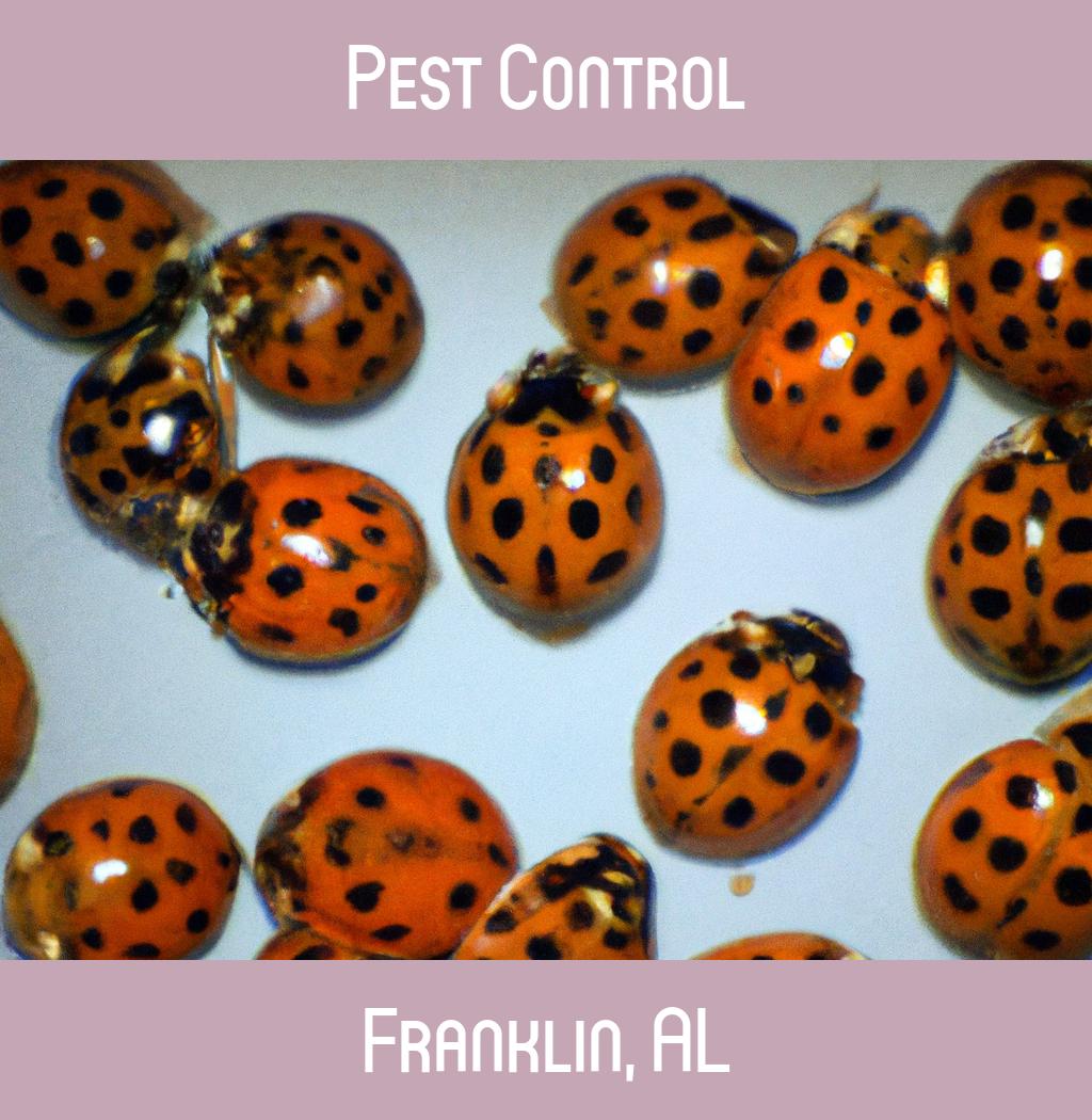 pest control in Franklin Alabama