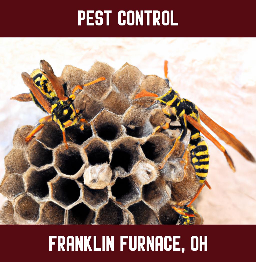 pest control in Franklin Furnace Ohio