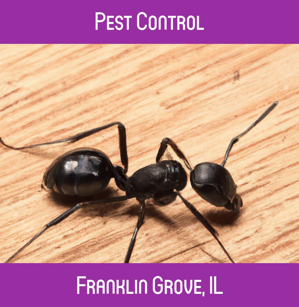 pest control in Franklin Grove Illinois