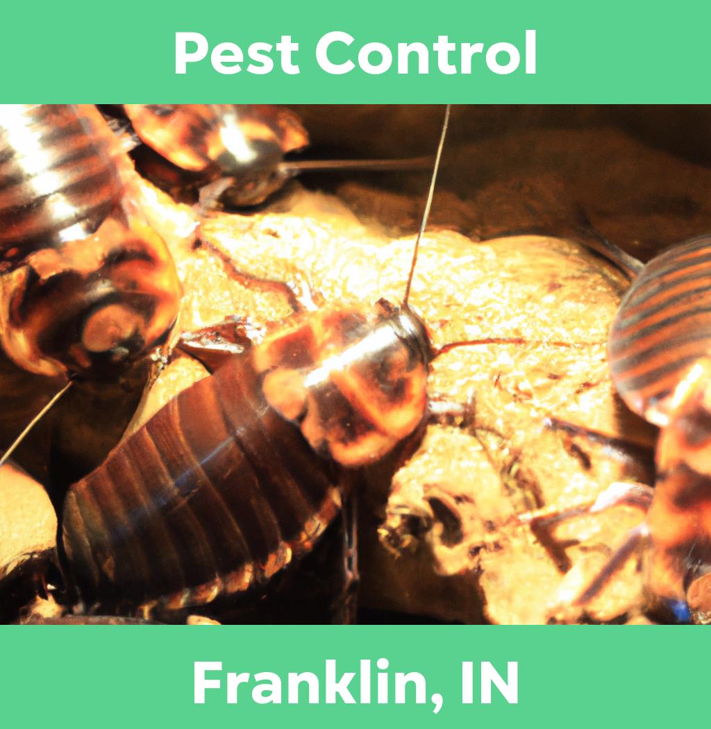 pest control in Franklin Indiana