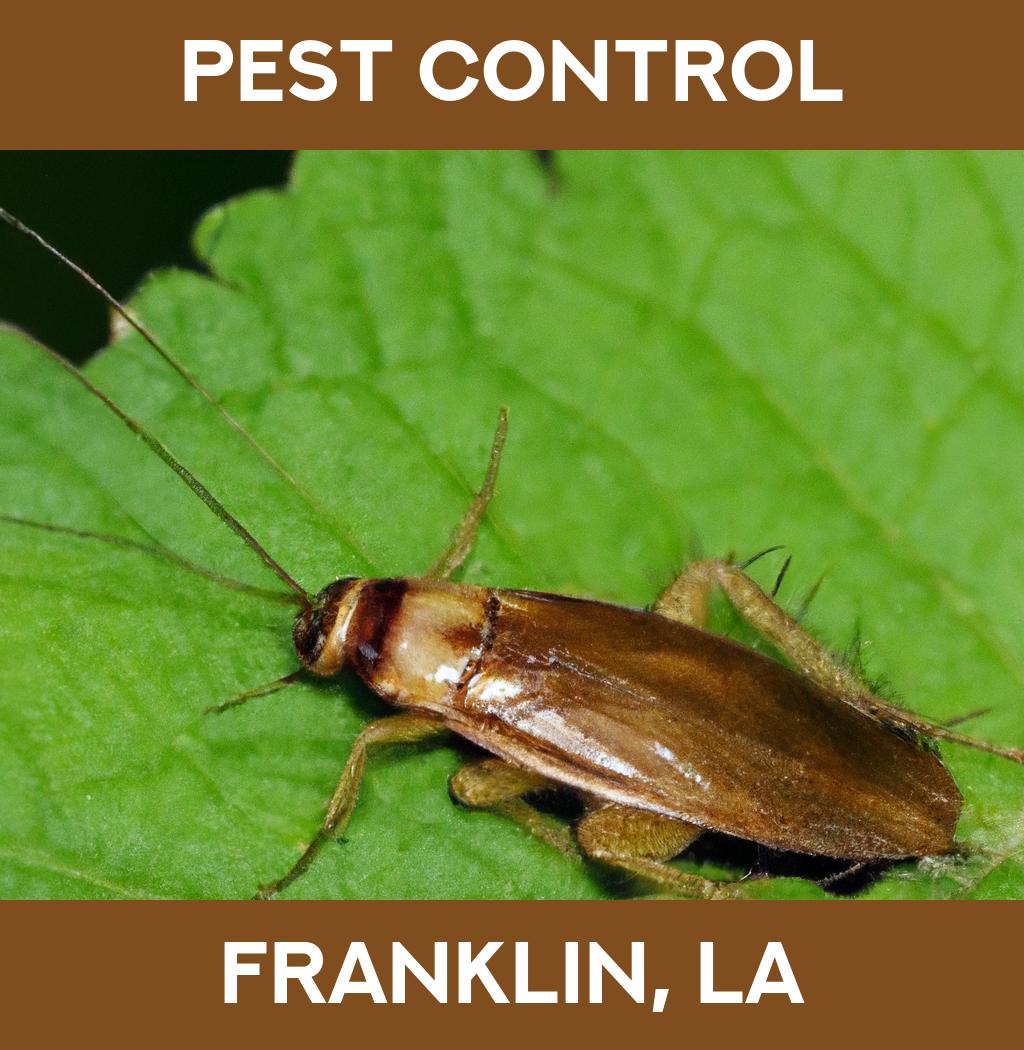 pest control in Franklin Louisiana