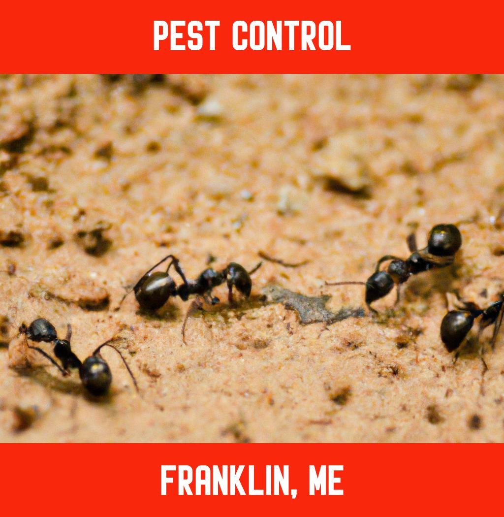 pest control in Franklin Maine