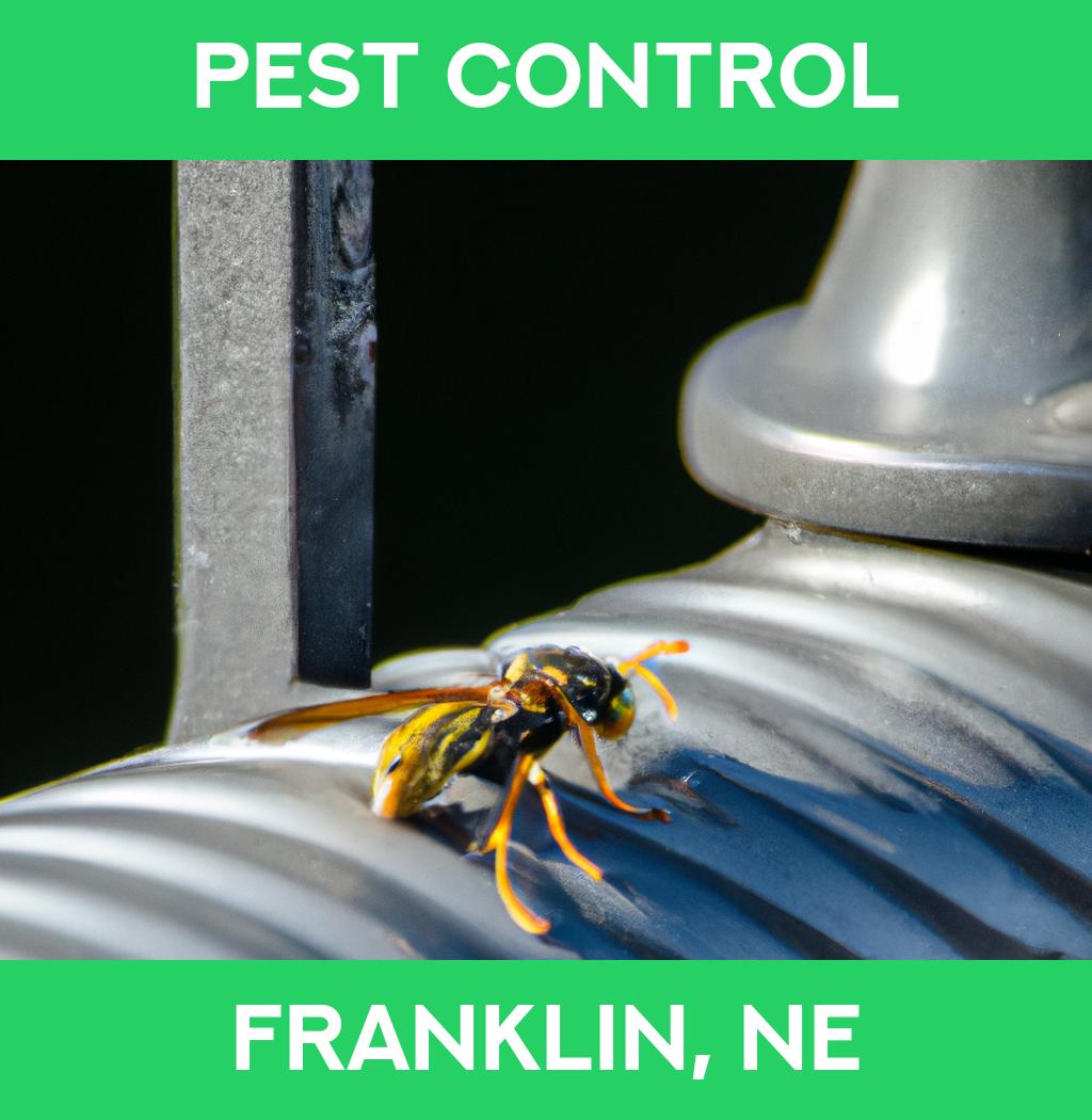 pest control in Franklin Nebraska