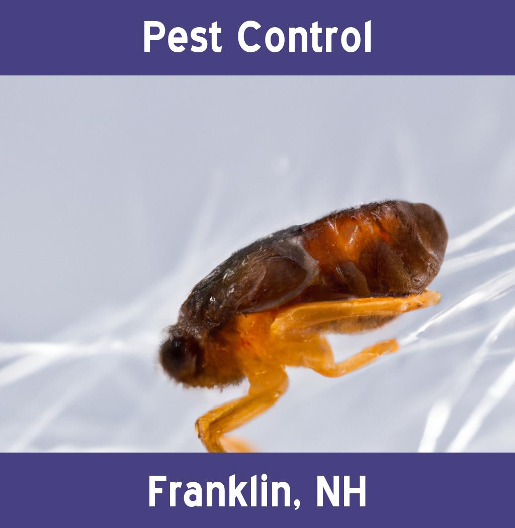 pest control in Franklin New Hampshire