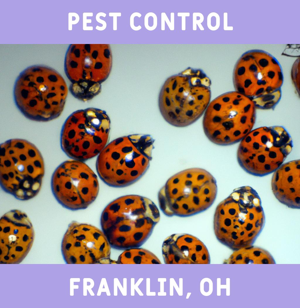pest control in Franklin Ohio