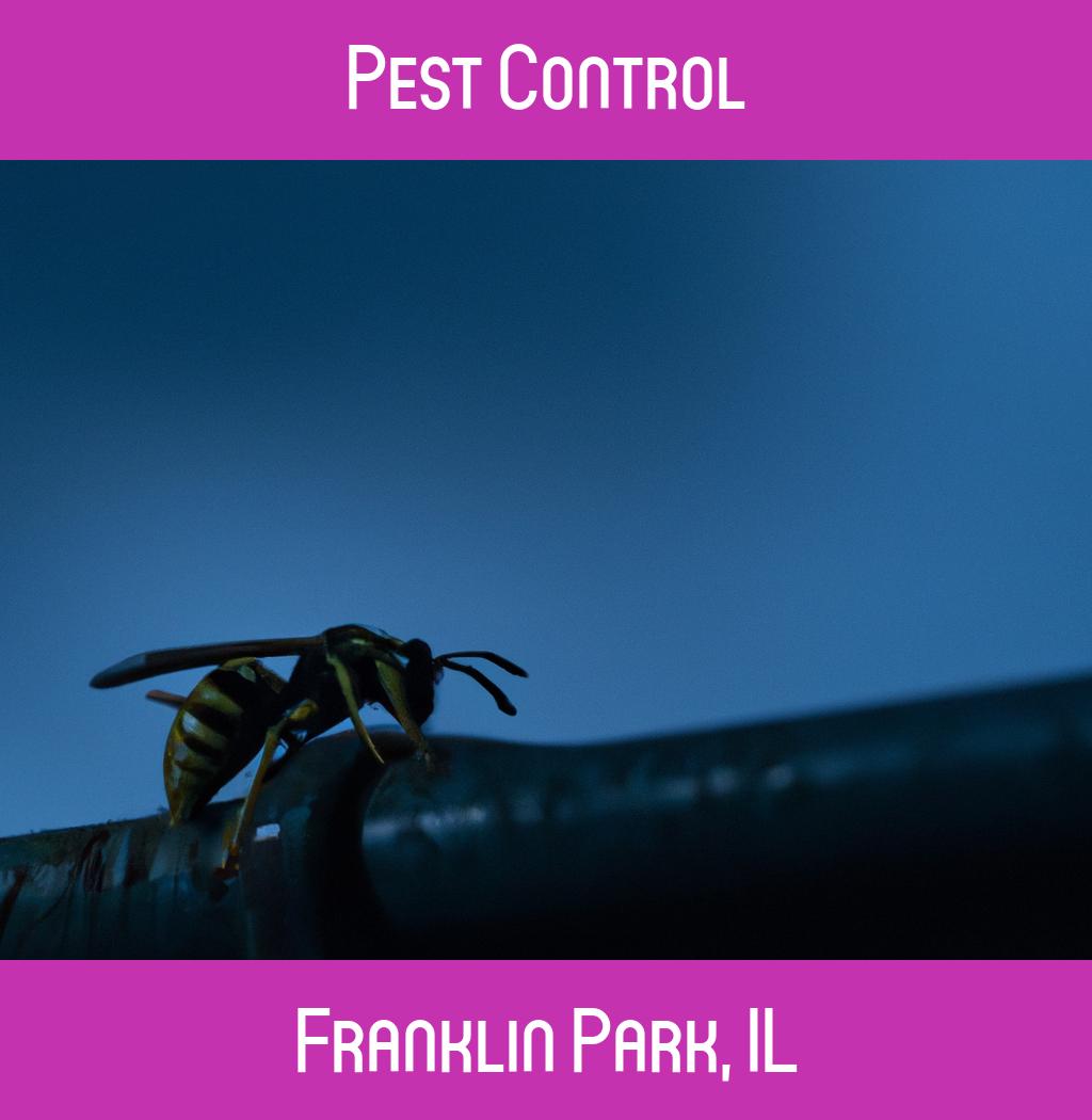 pest control in Franklin Park Illinois