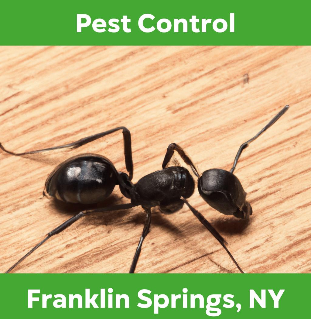 pest control in Franklin Springs New York
