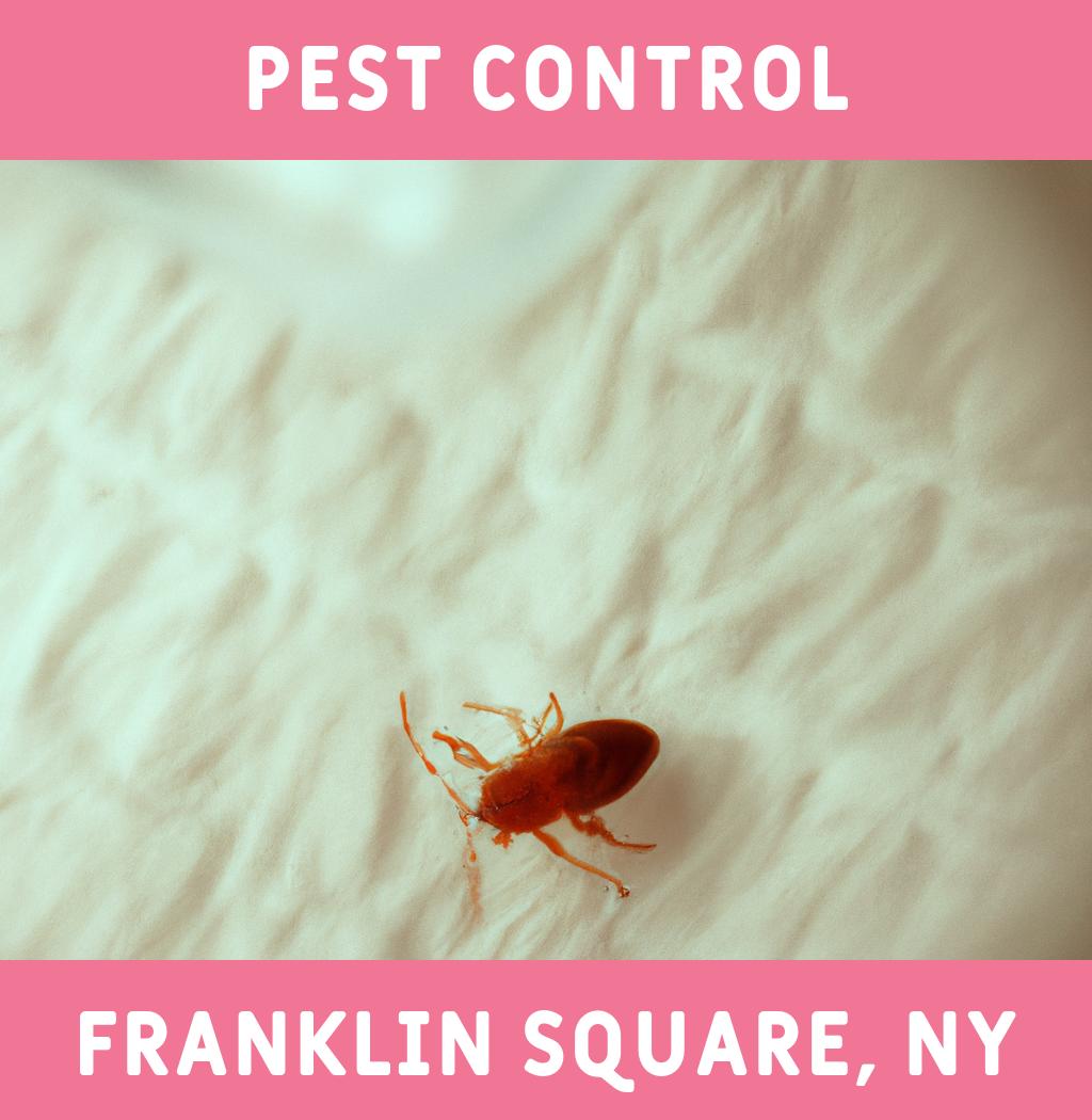 pest control in Franklin Square New York