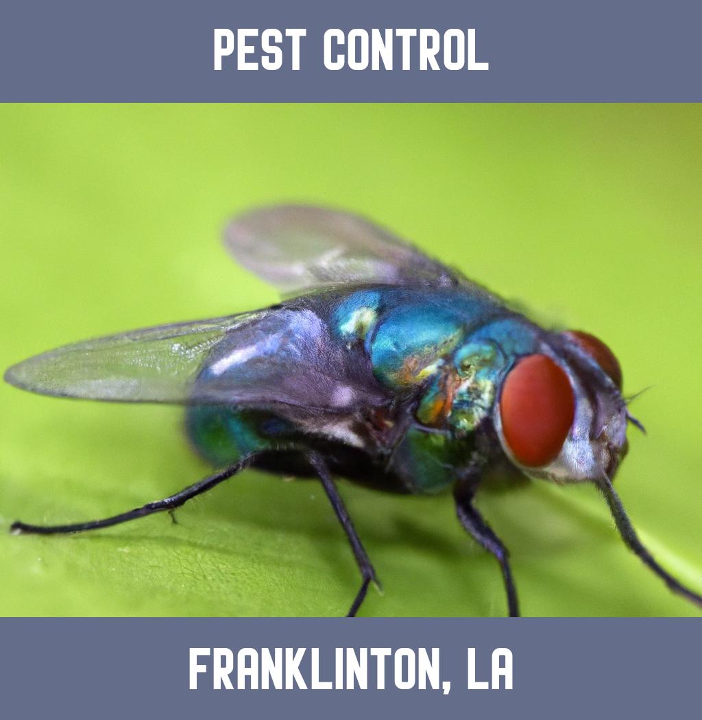 pest control in Franklinton Louisiana
