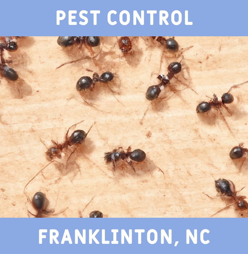pest control in Franklinton North Carolina