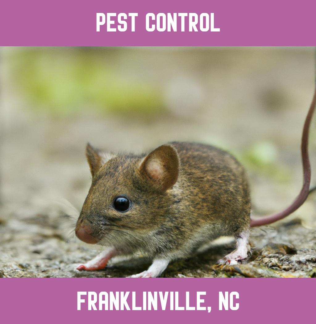 pest control in Franklinville North Carolina