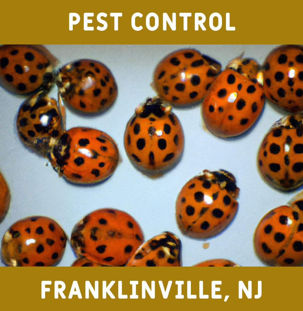 pest control in Franklinville New Jersey