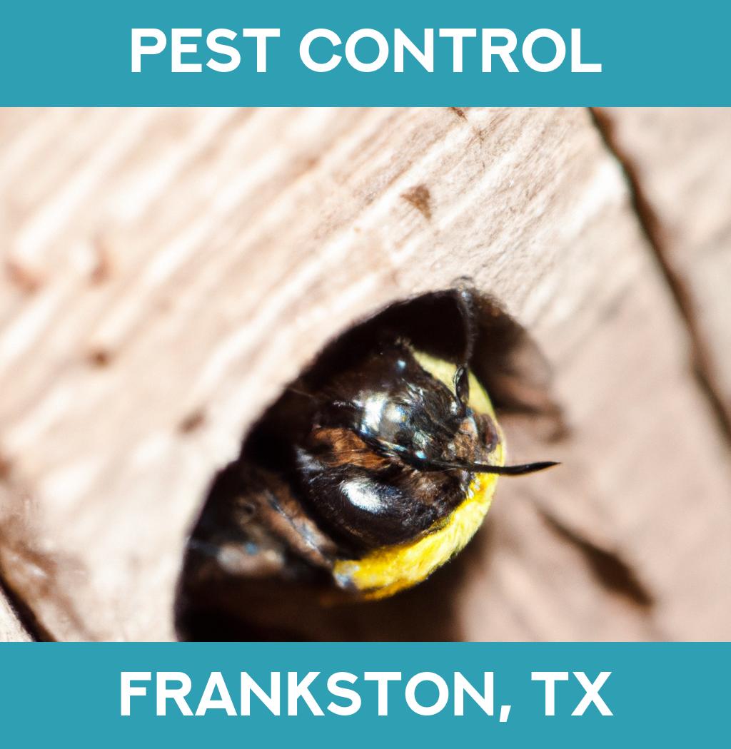pest control in Frankston Texas