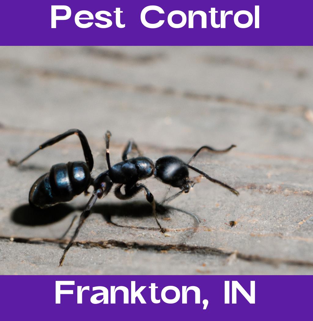 pest control in Frankton Indiana