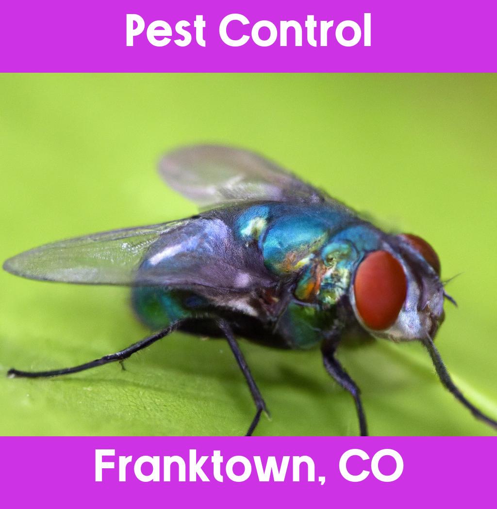 pest control in Franktown Colorado