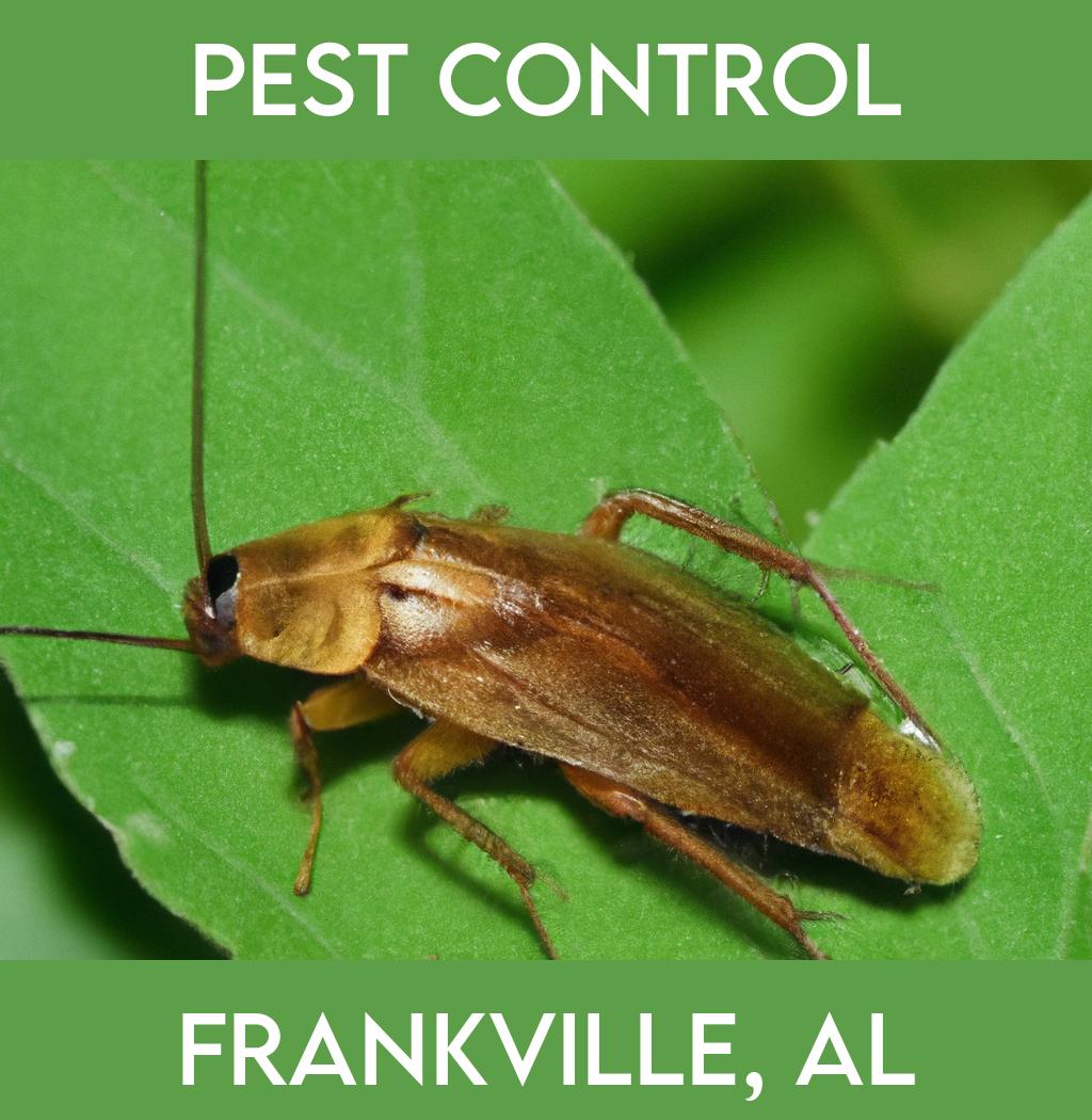 pest control in Frankville Alabama