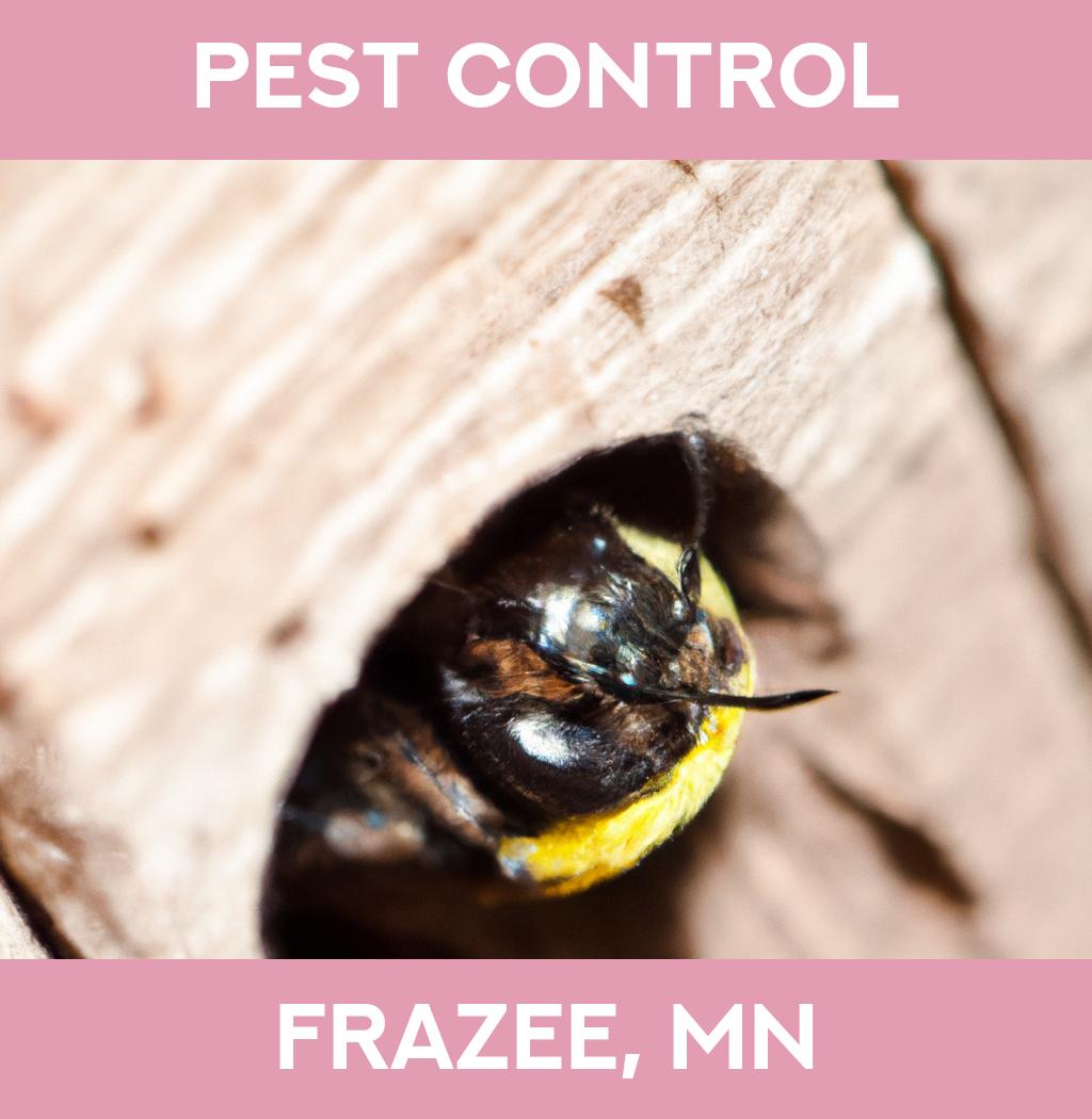 pest control in Frazee Minnesota