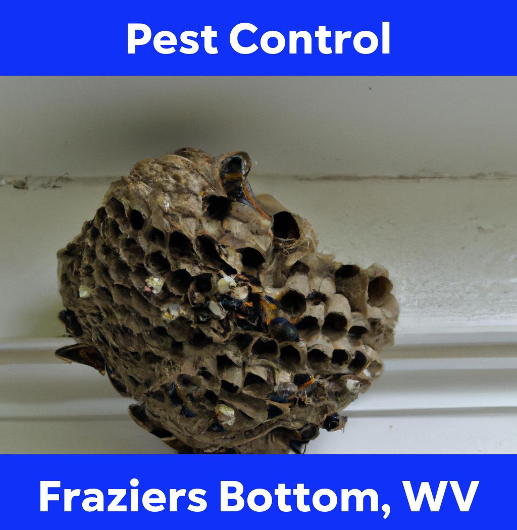 pest control in Fraziers Bottom West Virginia