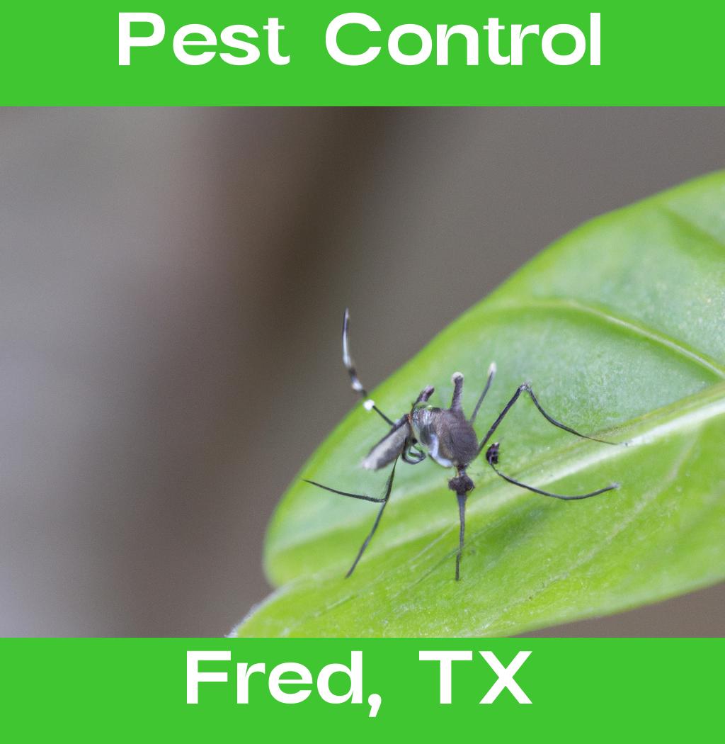 pest control in Fred Texas