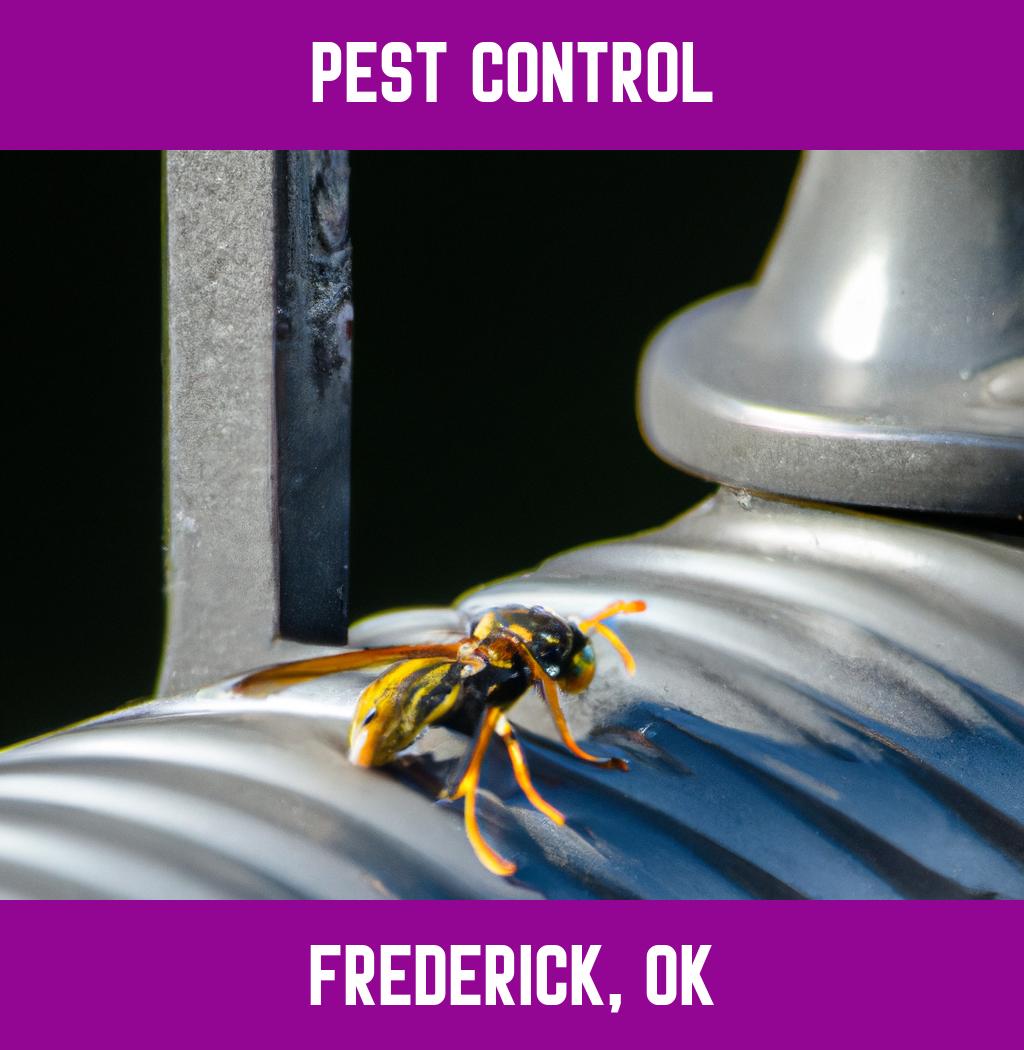 pest control in Frederick Oklahoma