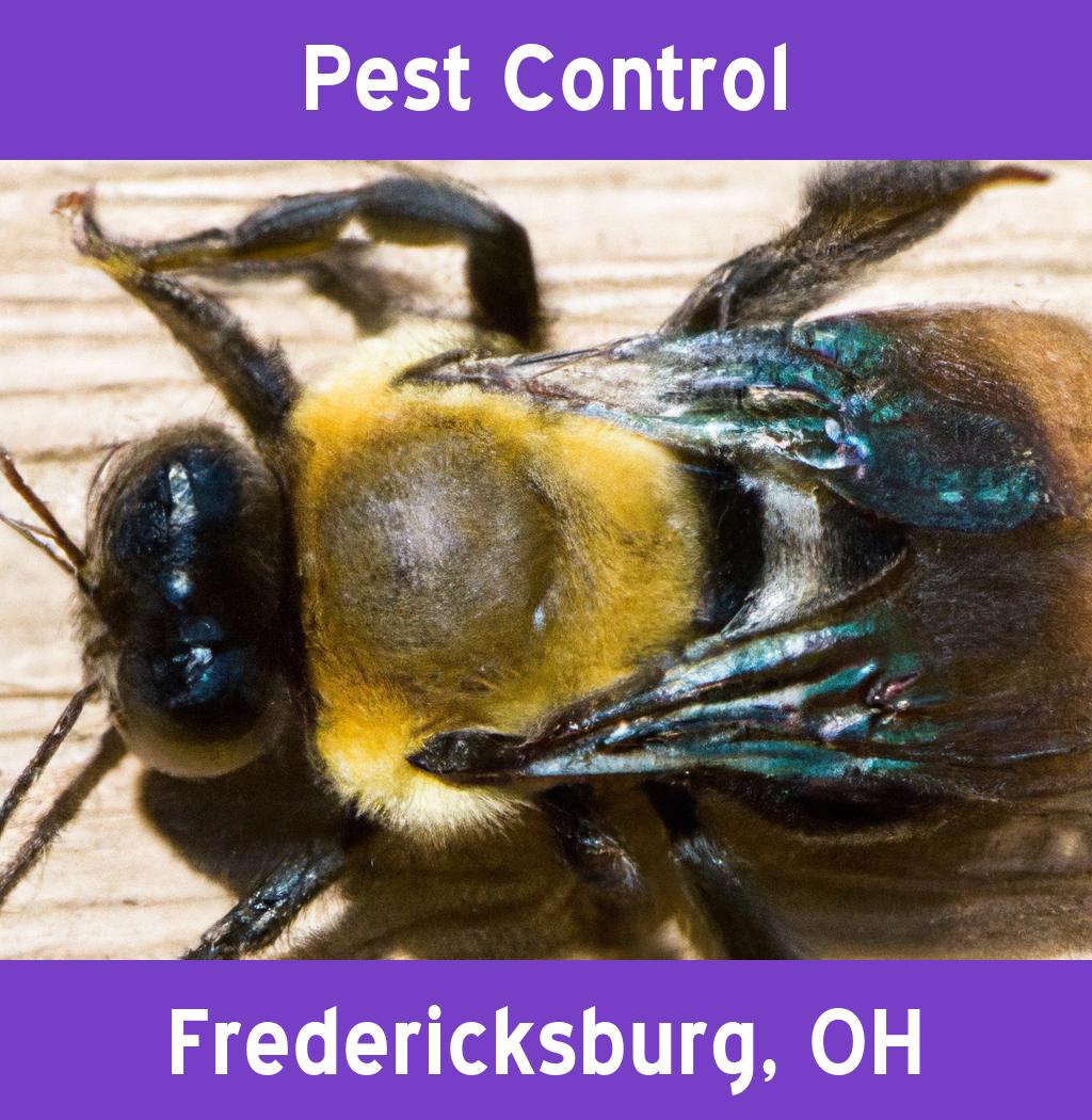pest control in Fredericksburg Ohio