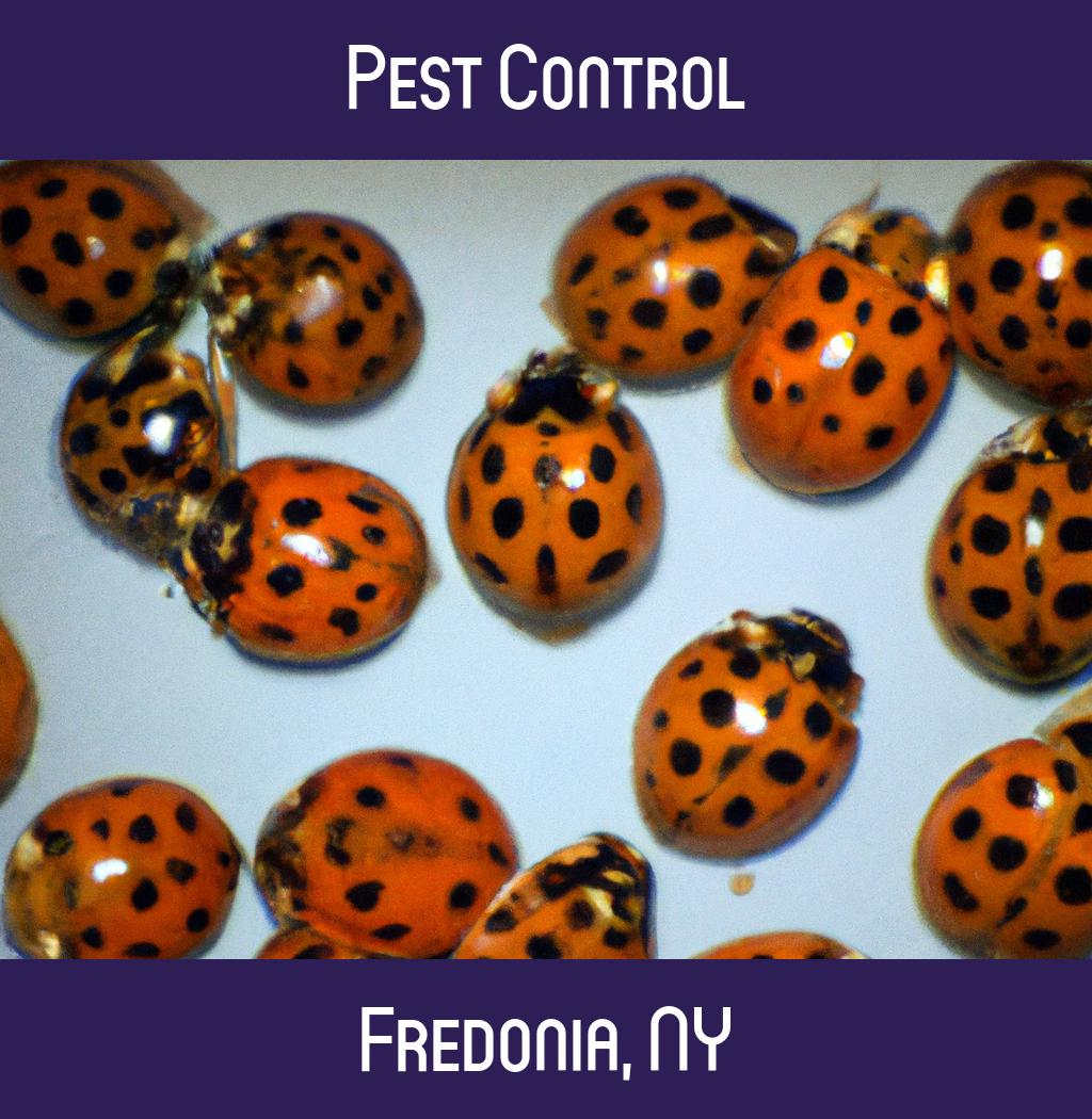 pest control in Fredonia New York