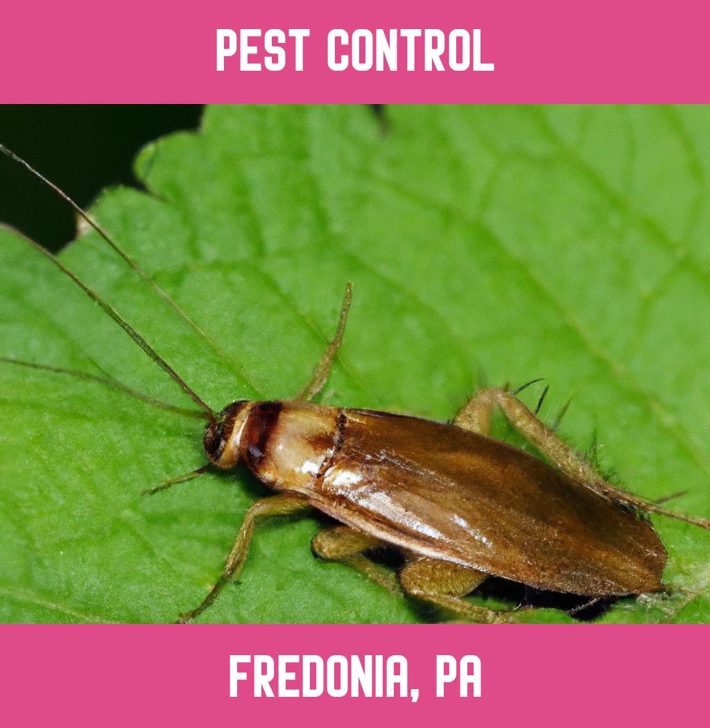 pest control in Fredonia Pennsylvania