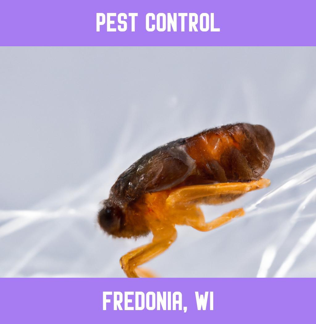 pest control in Fredonia Wisconsin