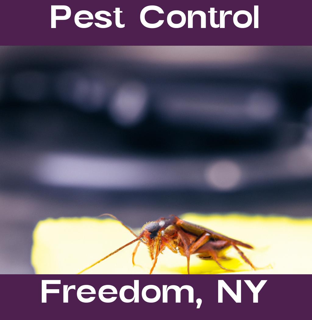 pest control in Freedom New York