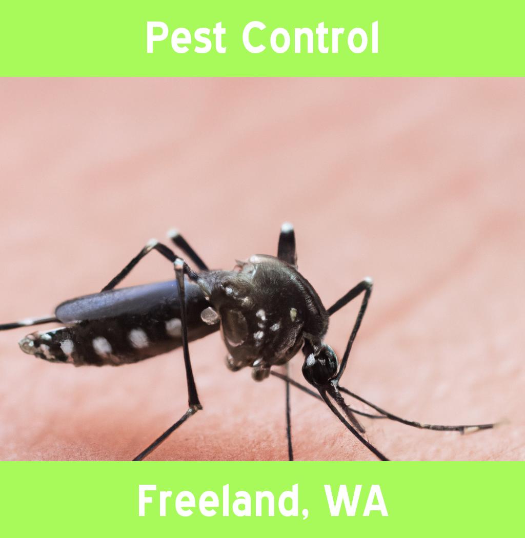 pest control in Freeland Washington
