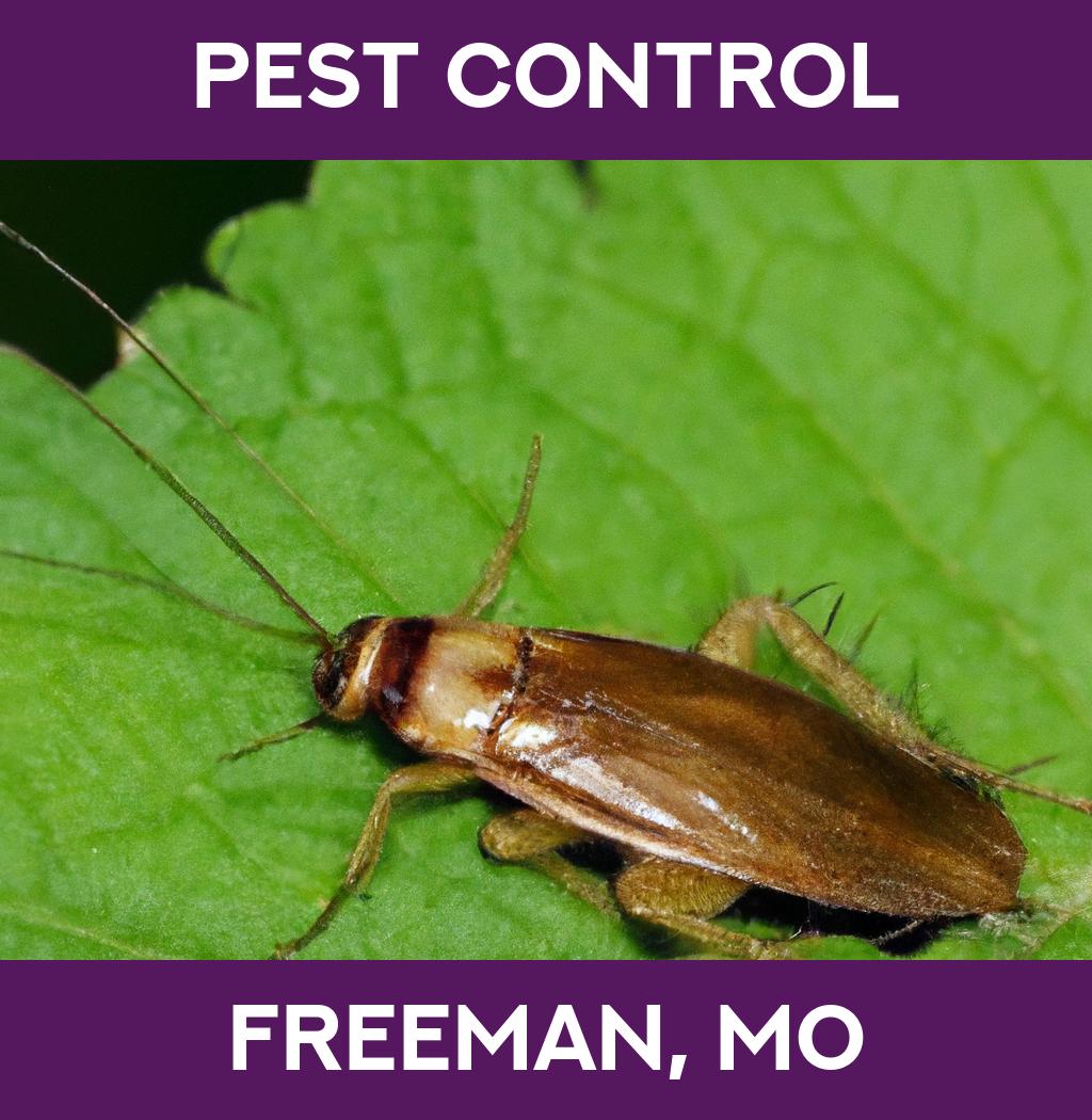 pest control in Freeman Missouri