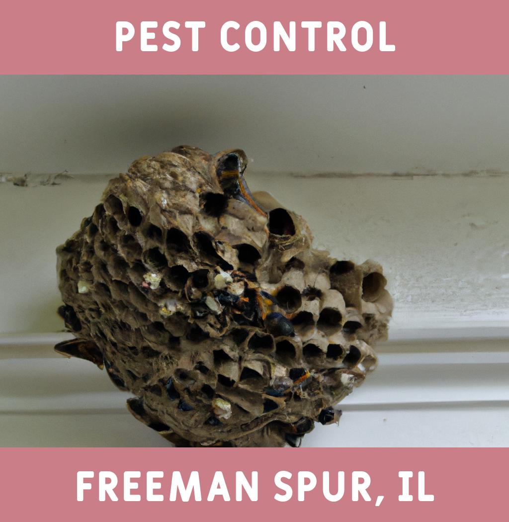 pest control in Freeman Spur Illinois