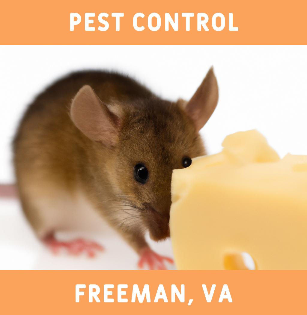 pest control in Freeman Virginia