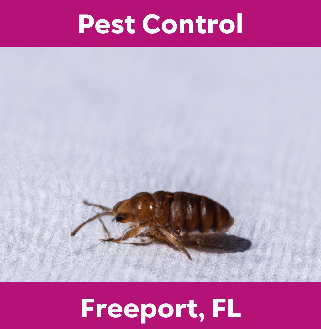 pest control in Freeport Florida