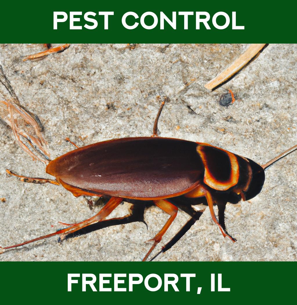 pest control in Freeport Illinois
