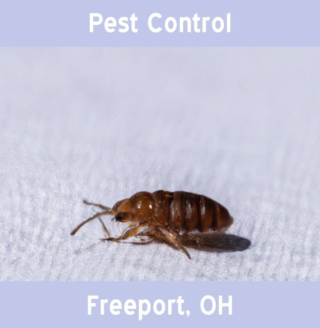 pest control in Freeport Ohio