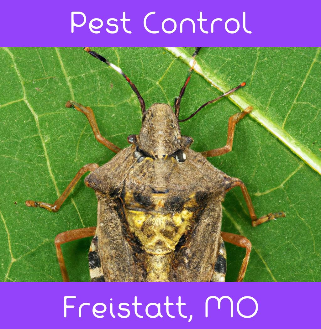 pest control in Freistatt Missouri
