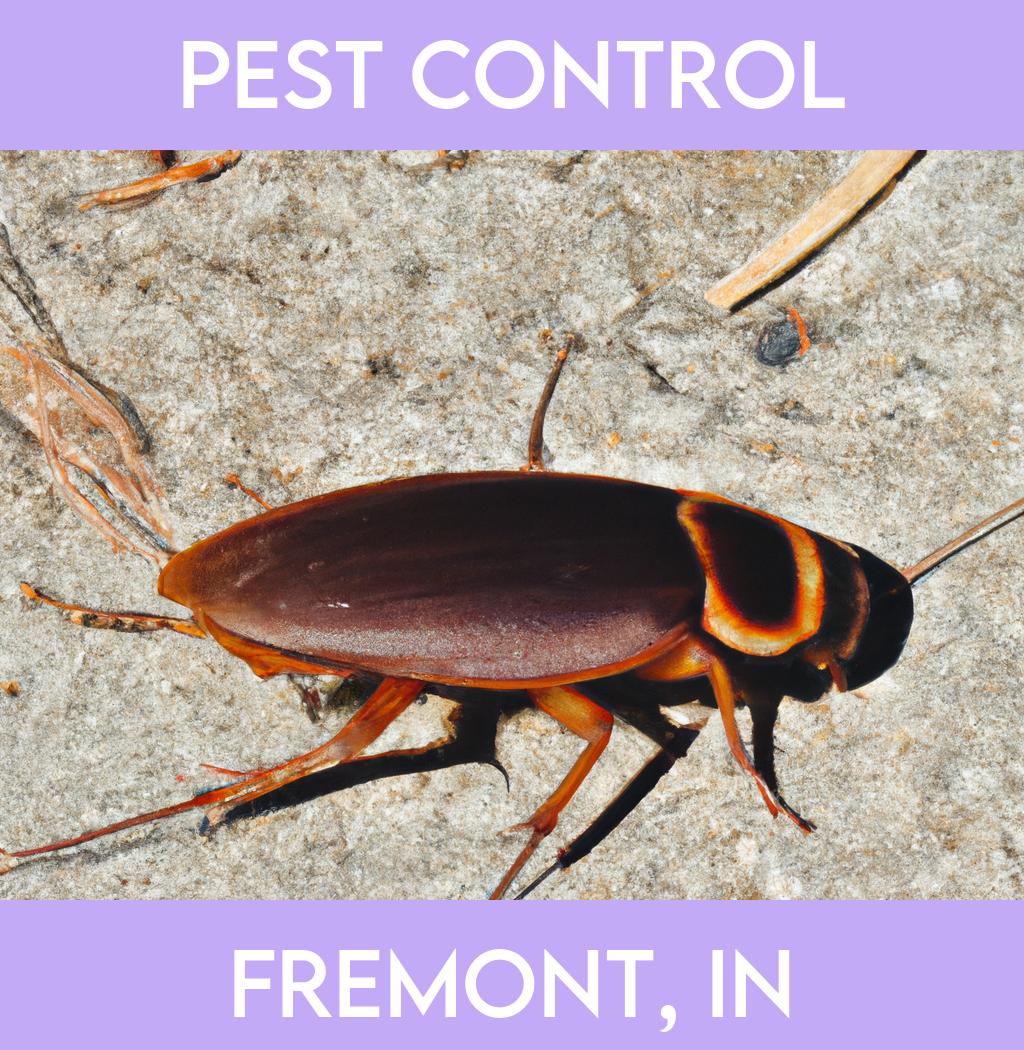 pest control in Fremont Indiana