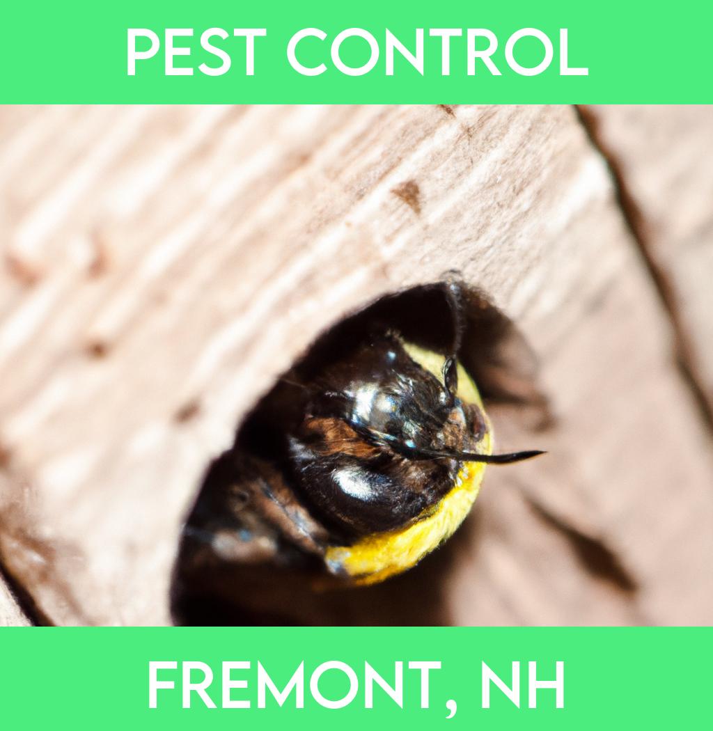 pest control in Fremont New Hampshire