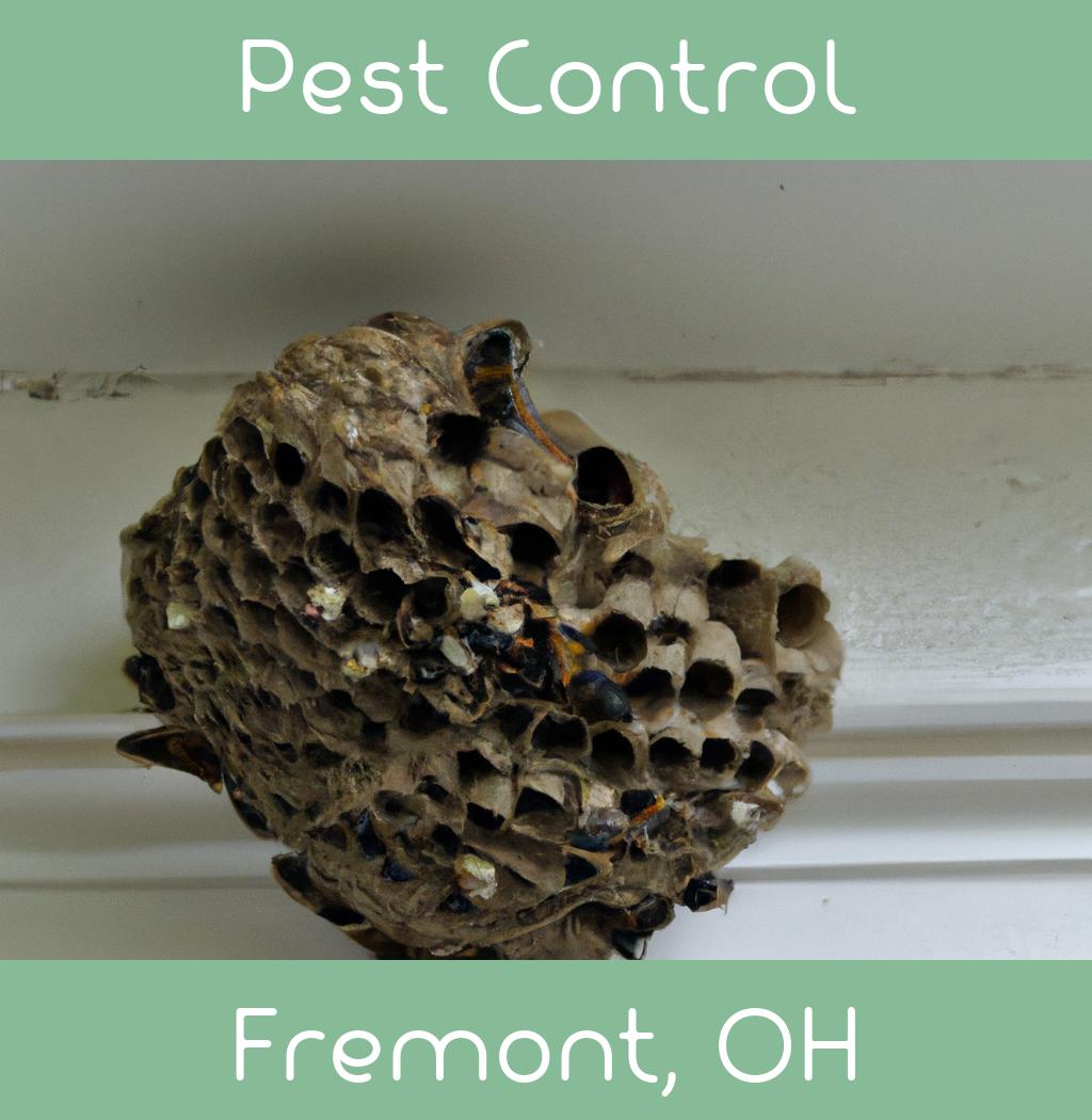 pest control in Fremont Ohio