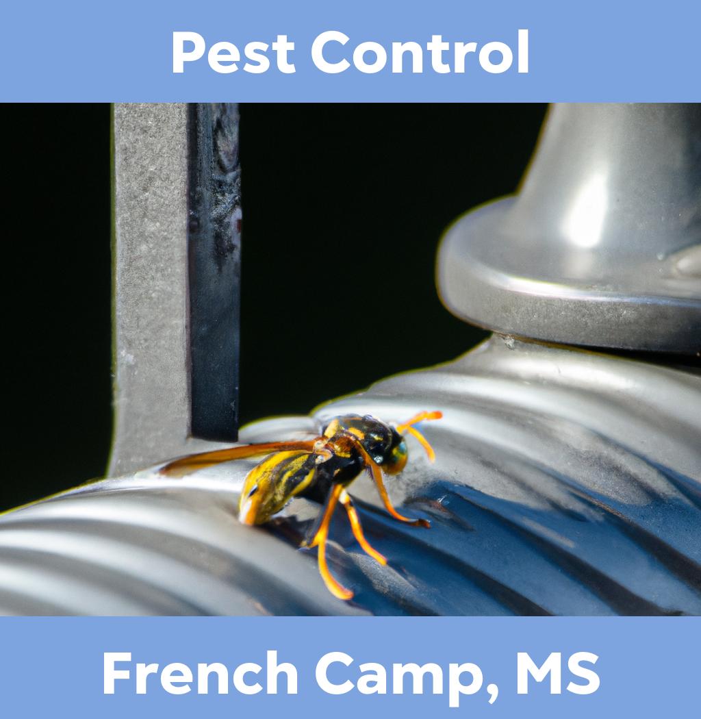 pest control in French Camp Mississippi