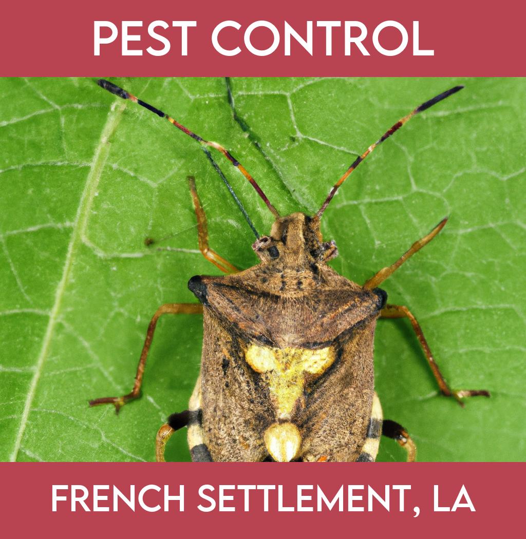 pest control in French Settlement Louisiana