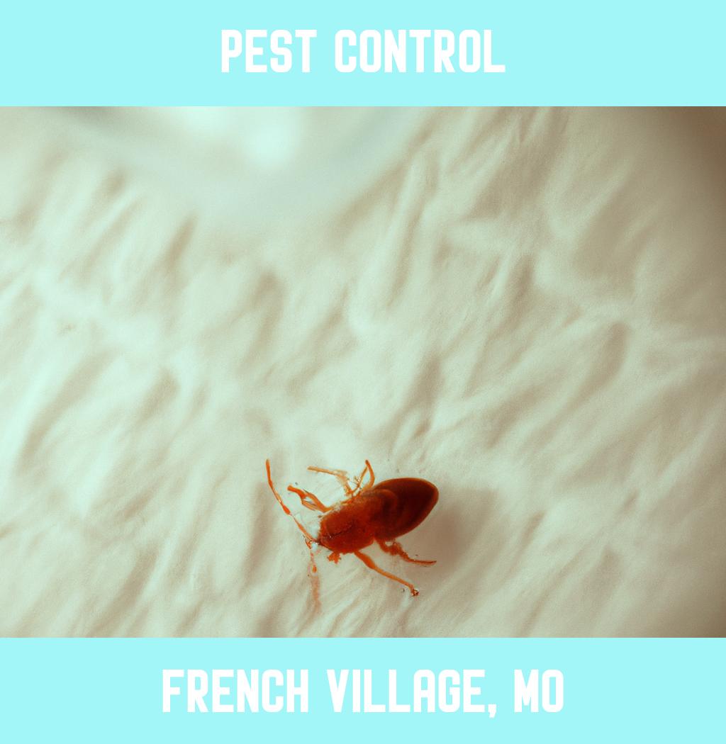 pest control in French Village Missouri