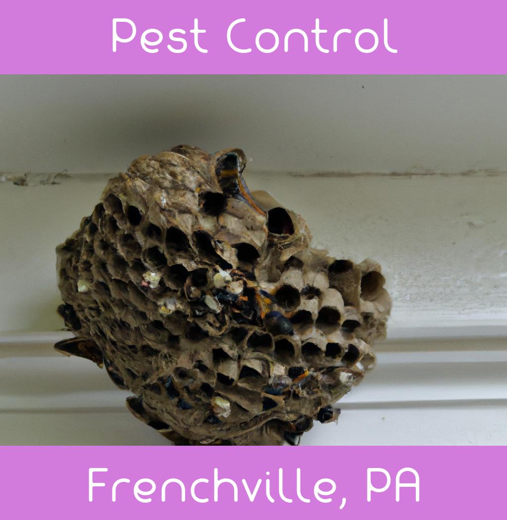pest control in Frenchville Pennsylvania