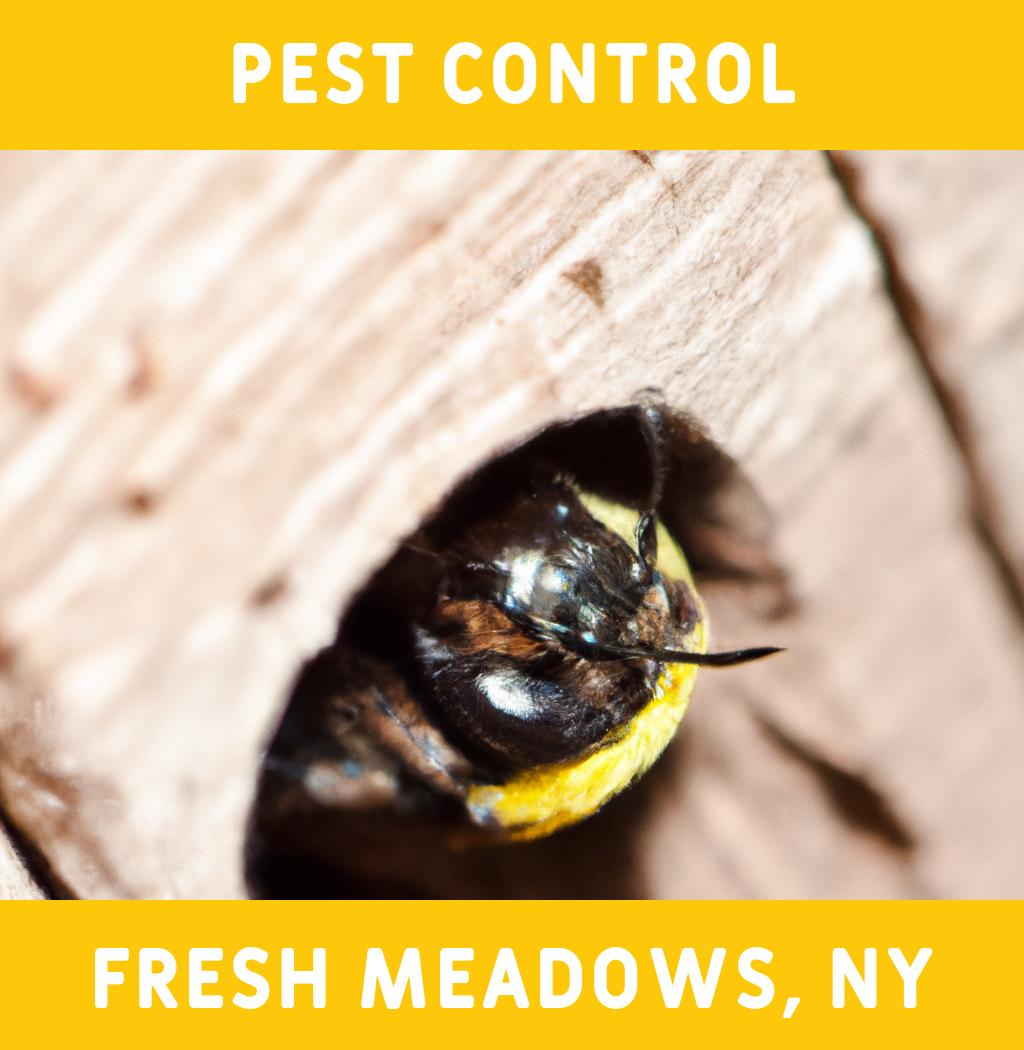 pest control in Fresh Meadows New York