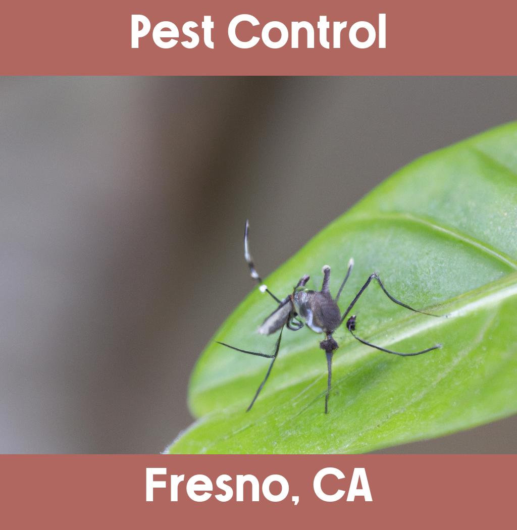 pest control in Fresno California